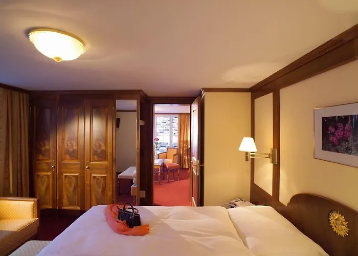 桑尼酒店 酒店 采尔马特