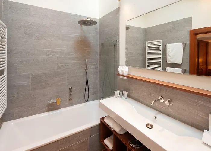 酒店 桑尼酒店 采尔马特